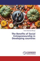 Patrick Masitsela Mhlanga | The Benefits Of Social Entrepreneurship In...