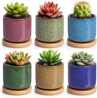 Keramik Sukkulenten TöPfe 6,3Cm Mini BlumentöPfe Mit Untersetzer 6 Farben Set