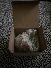 Richmond Flying Squirrels Mascot Nutzy Ceramic Planter - 2025 Stadium Giveaway