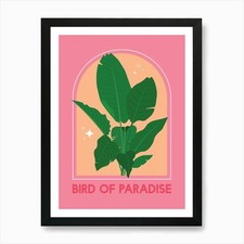 Bird Of Paradise Art Print Framed Wall Art Poster Canvas Print Picture