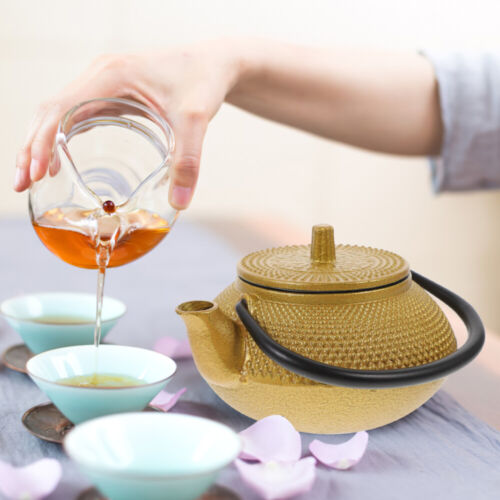  Teekanne Zur Teezubereitung Aus Gusseisen Reisen Kleine Kleines Bügeleisen - Bild 1 von 16