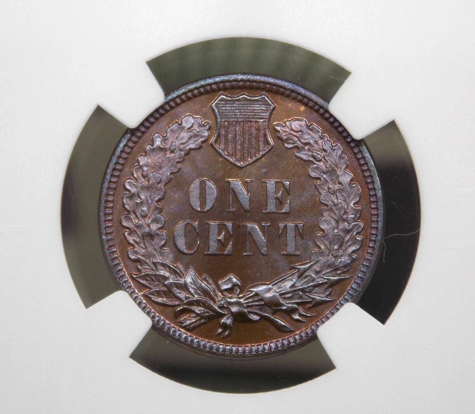 1884 Indian Head PROOF Cent 1c NGC PF65 BN #002 🔥🔥🔥GEM Proof ECC&C, Inc. - Image 3 of 4