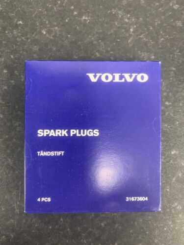 Genuine Volvo Spark Plug Kit | 31673604