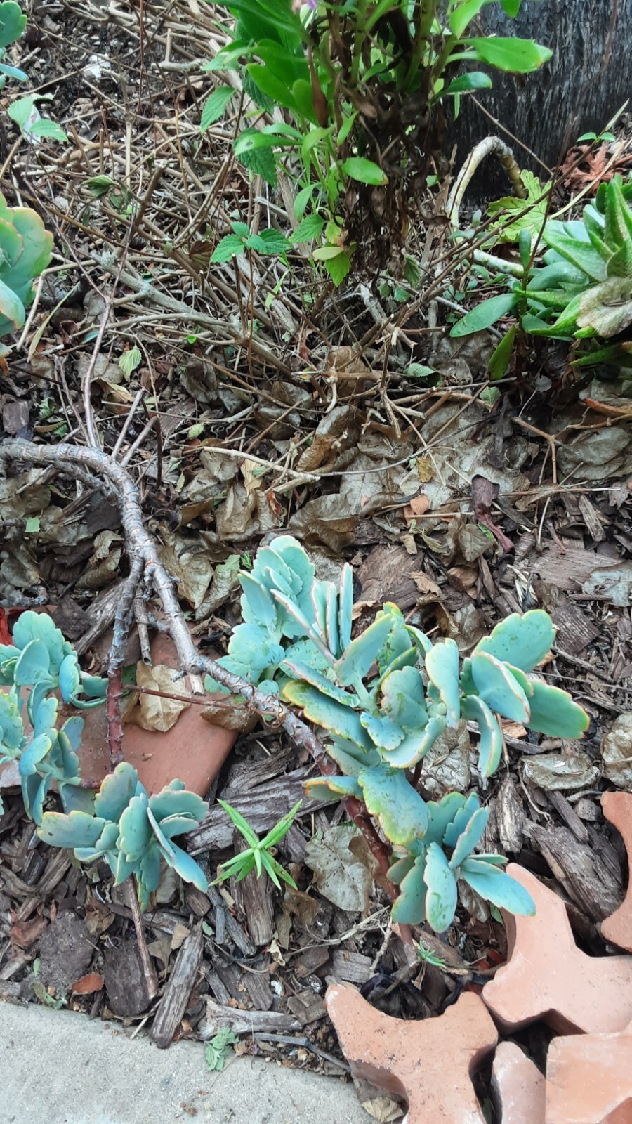 Picture 5 of 6
