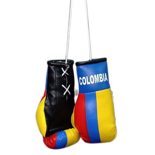 Colombia Boxing Glove / Colombia Flag / Mini Colombia Boxing Glove  - Picture 1 of 2