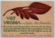Postcard Visit Virginia Again This Autumn Tourist Advertising Luray Skyline 1W17