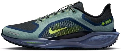 Size 9.5 - $170 Nike Pegasus 41 GORE-TEX Men display picture 3