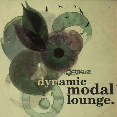 Dynamic Modal Lounge. ONLY LP INCL. NEAR MINT Fokuz Recordings Vinyl LP & CD