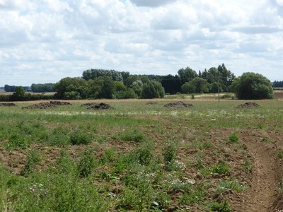Foto A2 Bodenverbesserung Millthorpe\/TF1130 dieses Jahr nicht in Produktion c2014