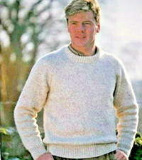 ✨C35d KNITTING PATTERN Easy Knit Plain Aran Jumper  36" - 44" Knit a as Gift