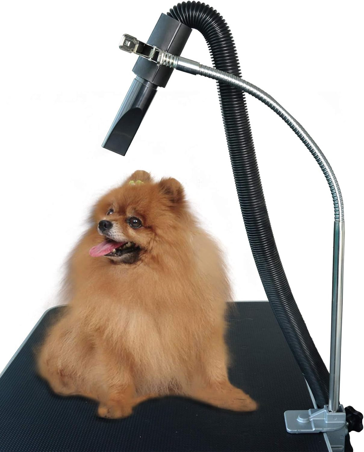 Dog Pet Grooming Table Hair Dryer Stand Hose Tube Holder Hands-Free Stainless St