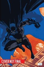 Absolute Batman: Haunted Knight by Jeph Loeb: Used