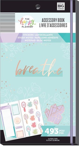 ME & MY BIG IDEAS Accessory Book, Wellness, 493/Pkg