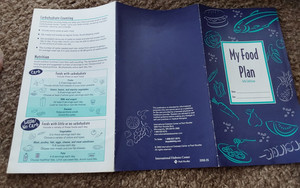 4 FOLD LEAFLET  MY FOOD PLAN  2008  FOR DIABETICS