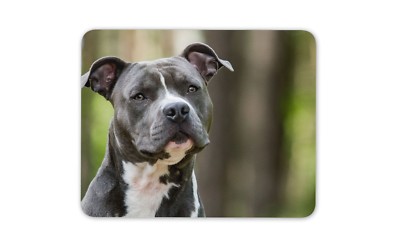 Pit Bull Blue Nose Mouse Pad - American Staffordshire Terrier Dog Design Office & Gaming Mat