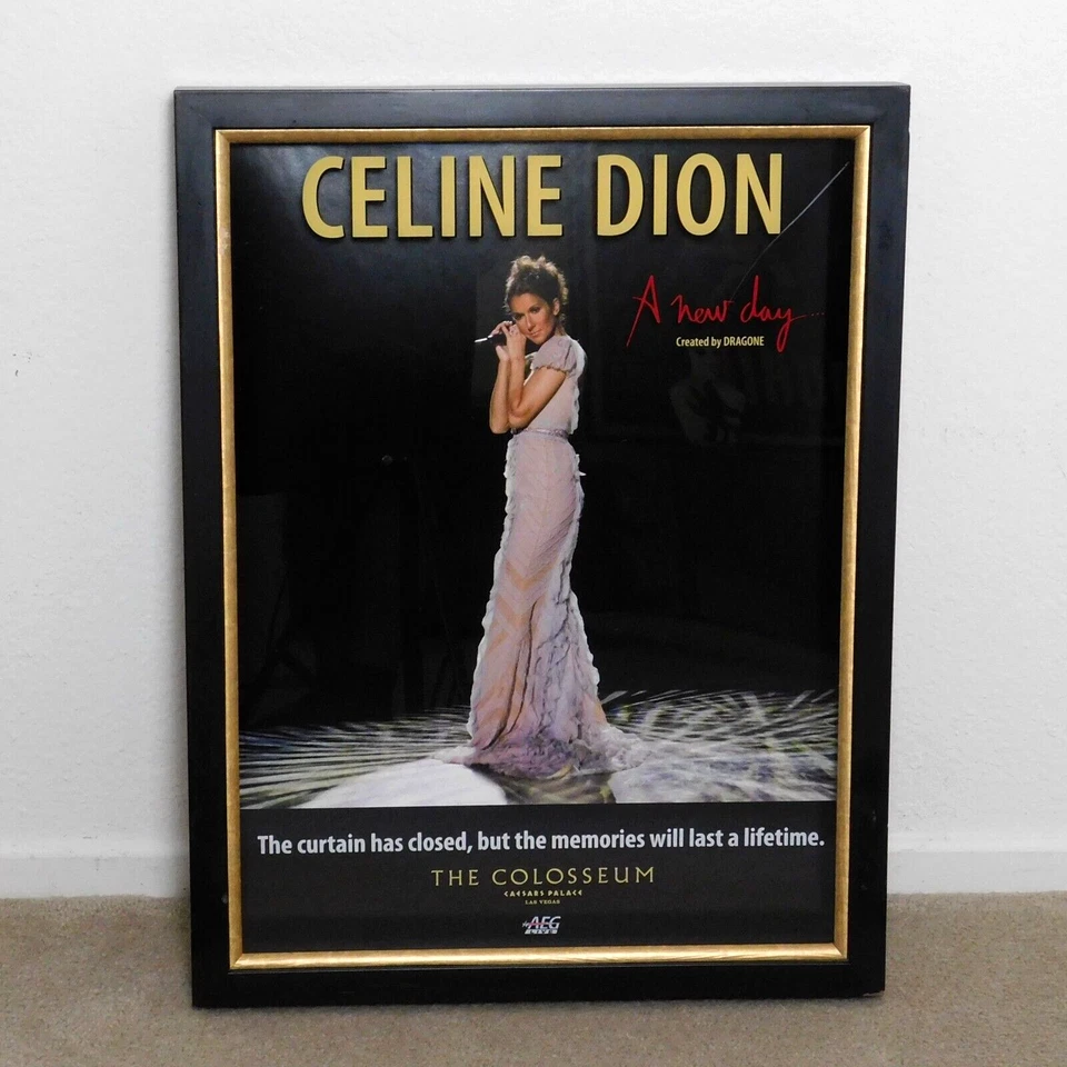 CELINE DION Um Novo Dia Caixa de Sombras emoldurada Promo Caesars Palace Las Vegas AEG 26x20 - Imagem 2 de 4