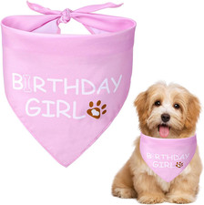 Dog Birthday Bandana Birthday Girl Dog Birthday Supplies for Small Medium Dog Pe