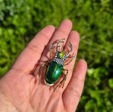 Vintage Style Gold Tone Green Beetle Bug Insect Animal Crystal Pearl Brooch Pin