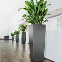 Lechuza 'Cubico Alto 40', Anthrazit, Ca. 39,5 X 39,5 X H 105 Cm