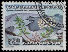 GREENLAND 192 - Bog Labrador Tea "Ledum groenlandicum" (pc23727)