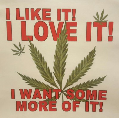 I Like It I Love It Pot Weed Marijuana Leaf Mary Jane Shirt Mj 2 Ebay
