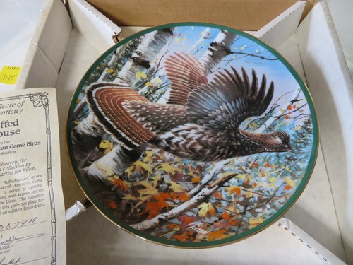 ROBUSTER AUERHUHN Teller Nordamerikanisches Wild Vögel Nature's Upland Jim Killen