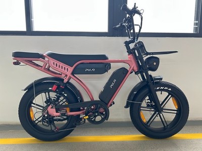 Pixar M9 20'' Elektrofahrrad 250W 48V 35Ah Shimano 7 Gäng Doppelbatterie eBike