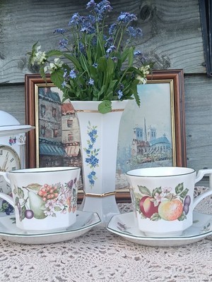 Johson Brothers Frühstückstasse und Untertasse mit frischem Obst