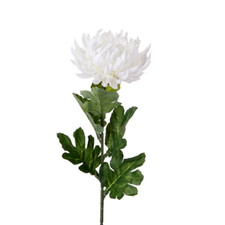 Image of LARGE CHRYSANTEMUM IVORY COLOUR ART GARDEN DECOR ARTIFICIAL SALE