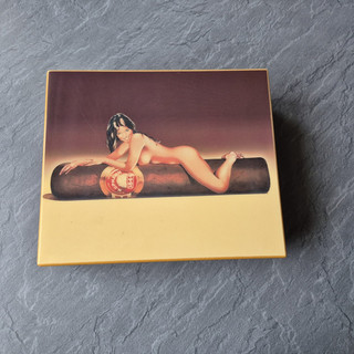 Zigarren Humidor mit interressantem Motiv unbenutzt