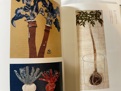 The Posthumous Works of Ayako Miyawaki Exhibition Book Japan