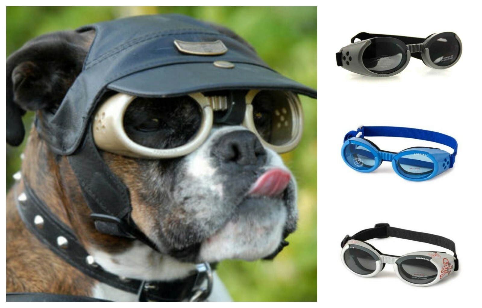 dog sunglasses uv protection