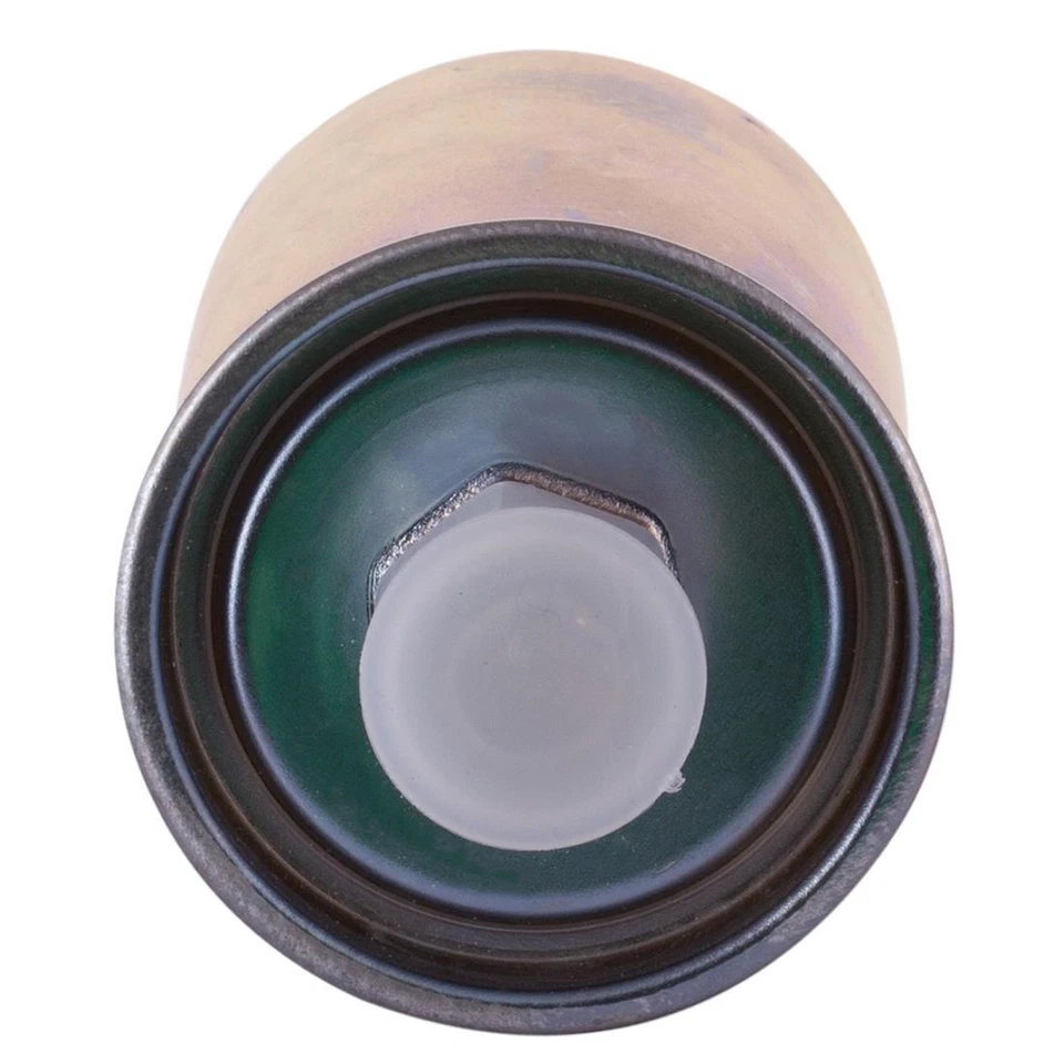 Filtro de combustible de aceite de motor para Cadillac Escalade 2000 1999 Foto 3 de 4