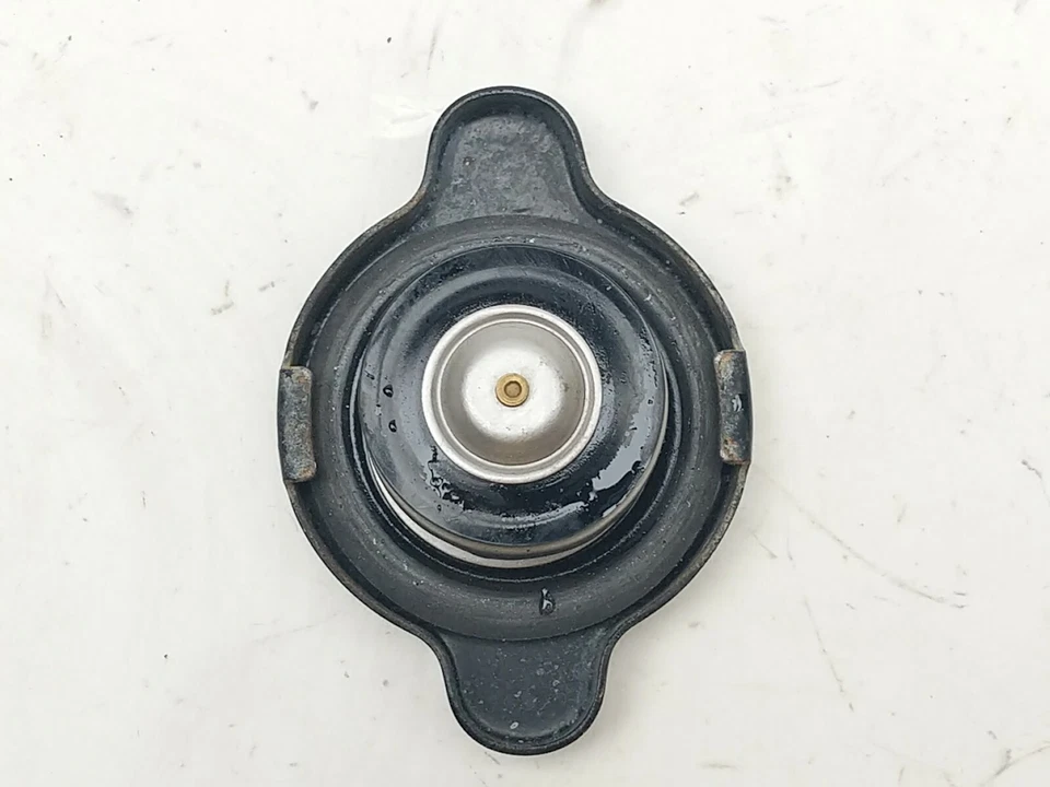 Tapa radiador Yamaha YZ450F YZ 450 07 Foto 3 de 4