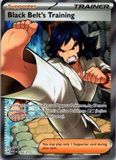 BLACK BELT'S TRAINING 255/217 ULTRA RARE ASCENDED HEROES POKEMON HOLO NM/M