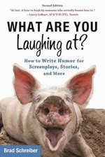 Brad Schreiber What Are You Laughing At? (Paperback)