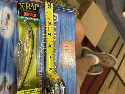 RAPALA  X-RAP SALTWATER LONG CAST, MODEL SXRL-12IN HOT 🥵 OLIVE 🫒 DISCONTIND***