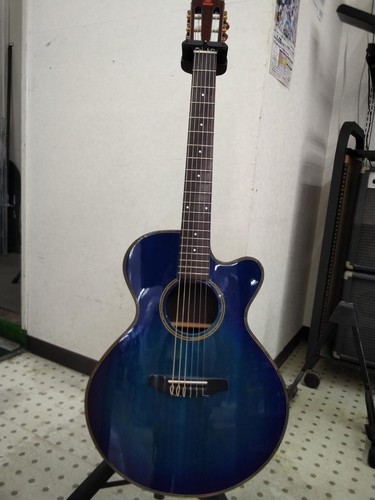 VESTAX EG-1500 Acoustic Electric Guitar