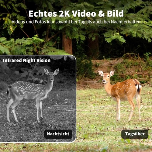 Telecamera 4G LTE 2K + pannello solare + scheda di memoria 32gb con app outdoor - Foto 8 di 8