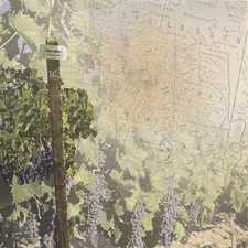 Wine Country Map, scrapbook paper - Paper House #P320