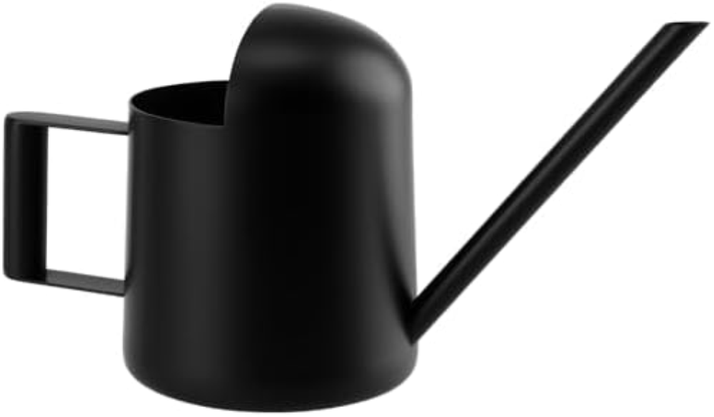 Watering Can, mini annaffiatoio per piante da interno, 300 ml, in acciaio inox,