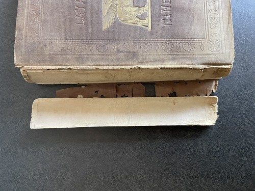 Austen Henry Layard - Nineveh and its Remains Vol 2 1849 Antique - Damaged Spine - Picture 11 of 15