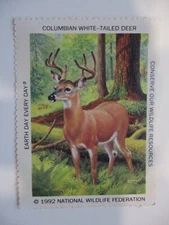 Cinderella (1992 NWF)  "WHITE TAILE  DEER"    See Pic