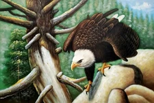 Bold Eagle,  24x36 100% Hand painted Oil Painting on Canvas