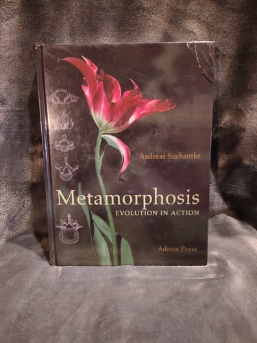 Metamorphosis: Evolution in Action - Hardcover By Suchantke, Andreas 