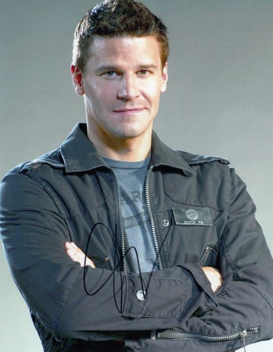 David Boreanaz Signed Bones 10x8 photo AFTAL UACC Signing Details [19412]