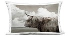 Stupell Industries Longhorn Cattle Clouds 14x20 Outdoor Throw Pillow NEW — photo 1