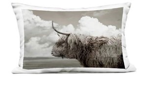 Stupell Industries Longhorn Cattle Clouds 14x20 Outdoor Throw Pillow NEW