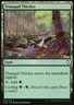 Magic the Gathering MTG Tranquil Thicket (274) Commander Anthology 2018   LP