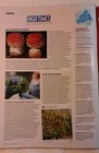 Bild 3 von 12